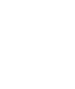 Volkswagen Service